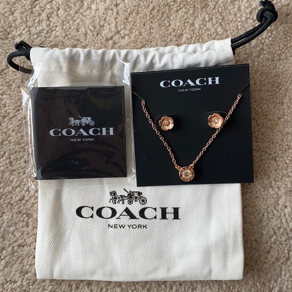 Circle Necklace And Tea Rose Stud 